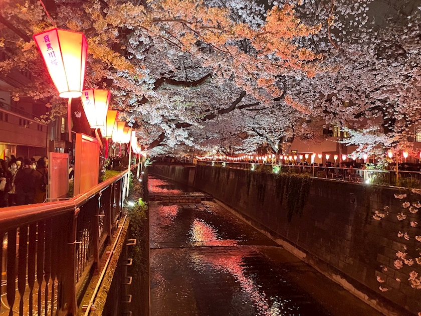 こんにちは！あいです！