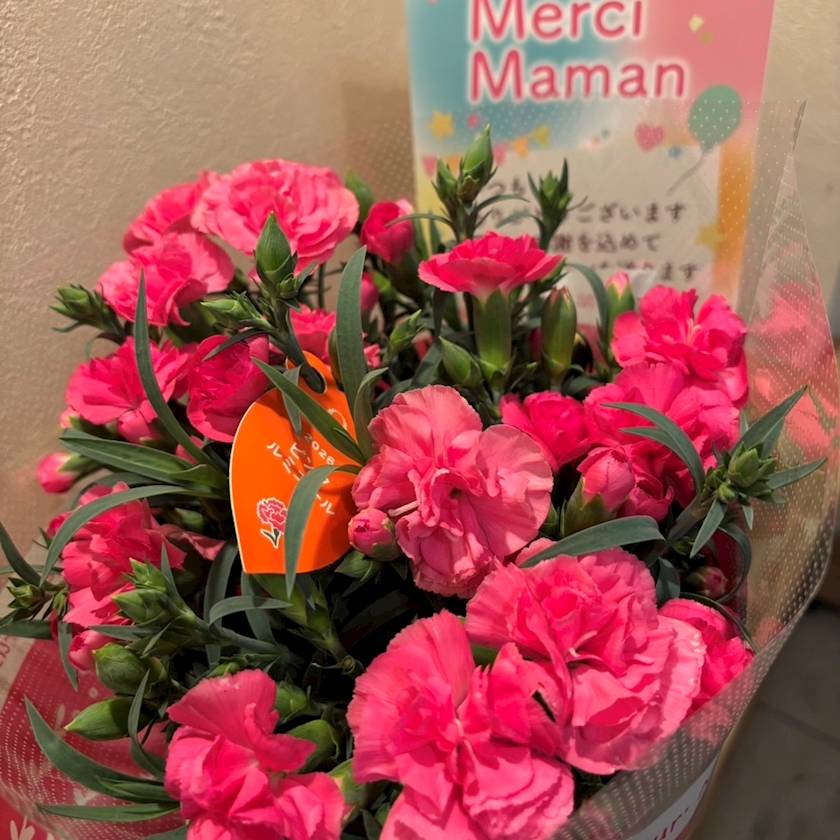 母の日💐
