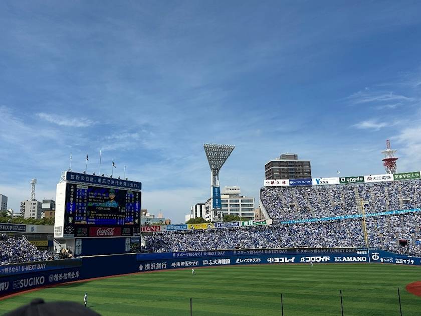 夏感⚾️☀️