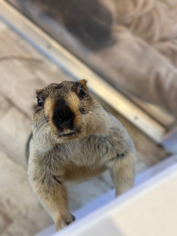 念願の、、❤️